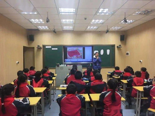 同課巧設(shè)計(jì) 異構(gòu)顯匠心 蓮塘一小教育集團(tuán)同課異構(gòu)教學(xué)競(jìng)賽活動(dòng)中的心理咨詢(xún)?nèi)诤咸剿? />
</a>
<span><a href=